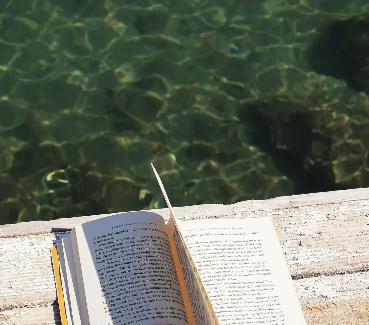 Ein aufgeschlagenenes Buch am Rand eines Pools mit blauem Wasser